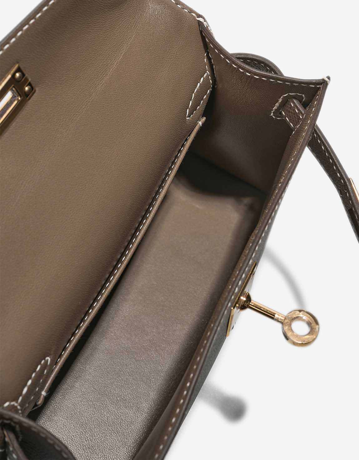 ALMA MINI 20 Epsom Gold Toupe